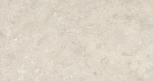 Reef Calcite Matte 12"x24 | Color Body Porcelain | Floor/Wall Tile