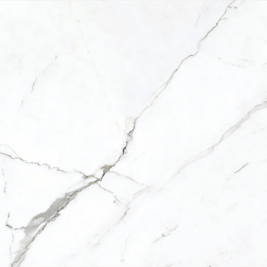 Renown White Matte 24"x24 | Glazed Porcelain | Floor/Wall Tile