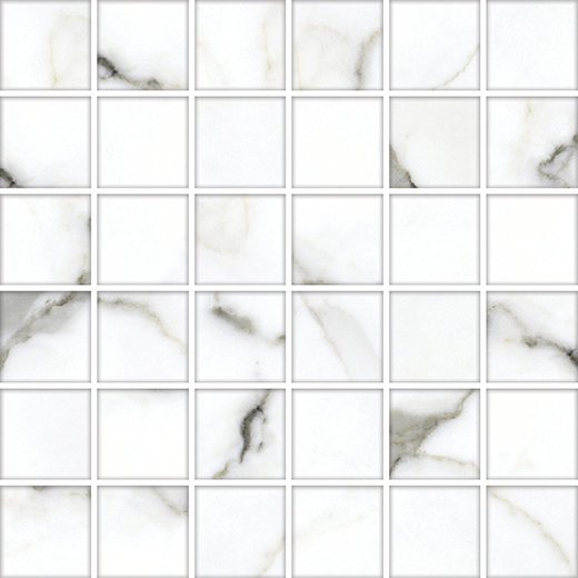 Renown White Matte 2"x2" Mosaic | Glazed Porcelain | Floor/Wall Mosaic