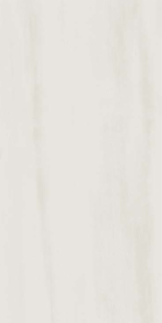 Resplendent Bianco Dolomite Matte 6"x12 | Color Body Porcelain | Floor/Wall Tile