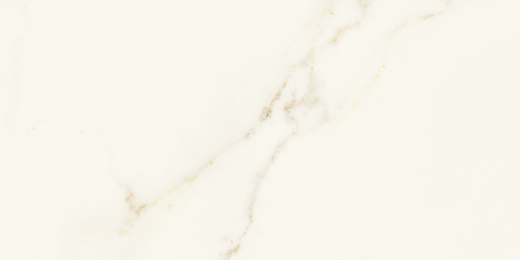 Resplendent Calacatta Apuano Honed 12"x24" | Color Body Porcelain | Floor/Wall Tile