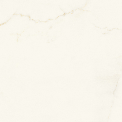 Resplendent Calacatta Apuano Honed 24"x24" | Color Body Porcelain | Floor/Wall Tile