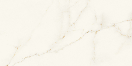 Resplendent Calacatta Apuano Honed 24"x48" | Color Body Porcelain | Floor/Wall Tile