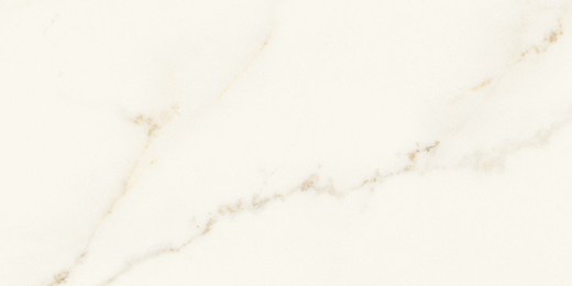 Resplendent Calacatta Apuano Honed 6"x12" | Color Body Porcelain | Floor/Wall Tile