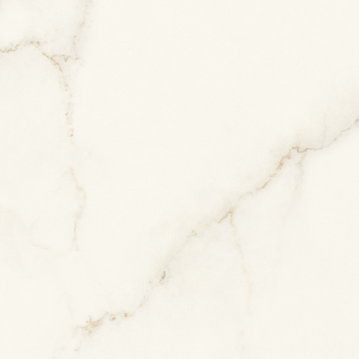 Resplendent Calacatta Apuano Polished 24"x24" | Color Body Porcelain | Floor/Wall Tile