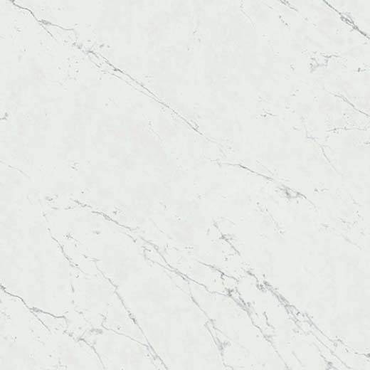 Resplendent Carrara Pure Matte 24"x24 | Color Body Porcelain | Floor/Wall Tile