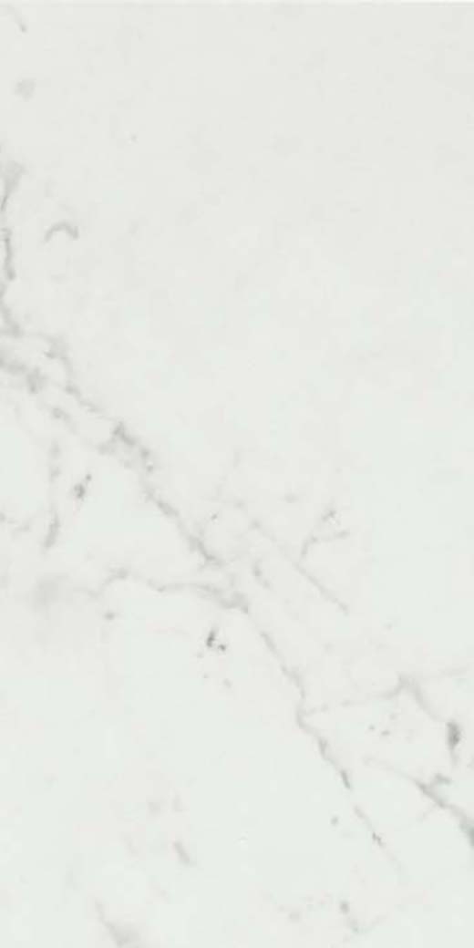 Resplendent Carrara Pure Matte 6"x12 | Color Body Porcelain | Floor/Wall Tile