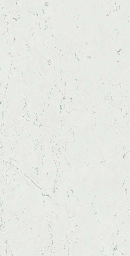 Resplendent Carrara Pure Polished 12