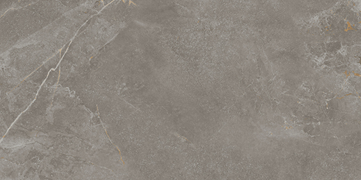 Resplendent Fior Di Bosco Honed 12"x24" | Color Body Porcelain | Floor/Wall Tile