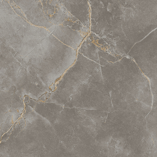 Resplendent Fior Di Bosco Polished 30"x30" | Color Body Porcelain | Floor/Wall Tile