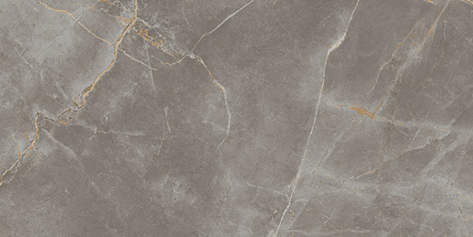 Resplendent Fior Di Bosco Honed 24"x48" | Color Body Porcelain | Floor/Wall Tile