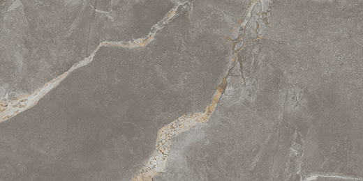 Resplendent Fior Di Bosco Honed 6"x12" | Color Body Porcelain | Floor/Wall Tile