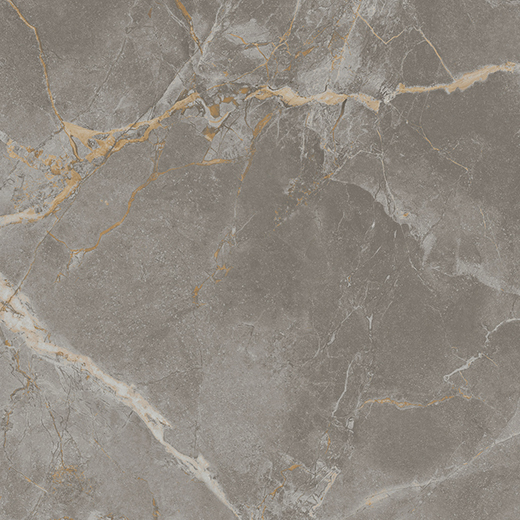 Resplendent Fior Di Bosco Polished 48"x48" | Color Body Porcelain | Floor/Wall Tile