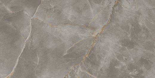 Resplendent Fior Di Bosco Polished 24"x48" | Color Body Porcelain | Floor/Wall Tile