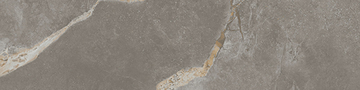 Resplendent Fior Di Bosco Polished 3"x12" | Color Body Porcelain | Floor/Wall Tile