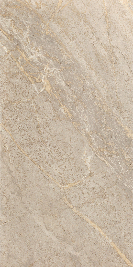 Soapstone Greige Half Polished 12"x24 | Through Body Porcelain | Floor/Wall Tile