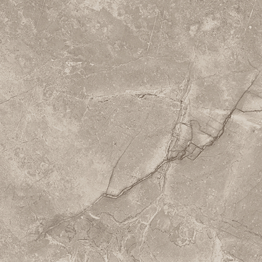 Outlet Sonnet Fiore Di Bosco - Outlet Polished 24"x24 | Glazed Porcelain | Floor/Wall Tile