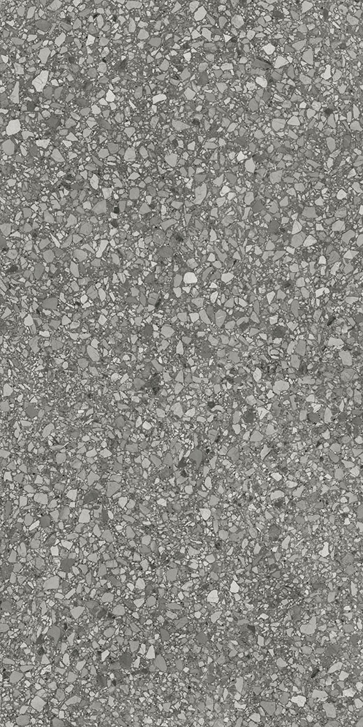 Speck Shadow Matte 12"x24 | Color Body Porcelain | Floor/Wall Tile