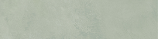 Spirit Fern Soft 2"x8" | Color Body Porcelain | Floor/Wall Tile