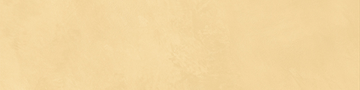 Spirit Mango Soft 2"x8" | Color Body Porcelain | Floor/Wall Tile