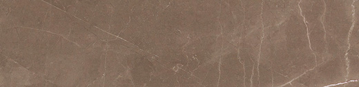 Splendor Amani Bronze Natural 3"x12" Bullnose | Color Body Porcelain | Trim