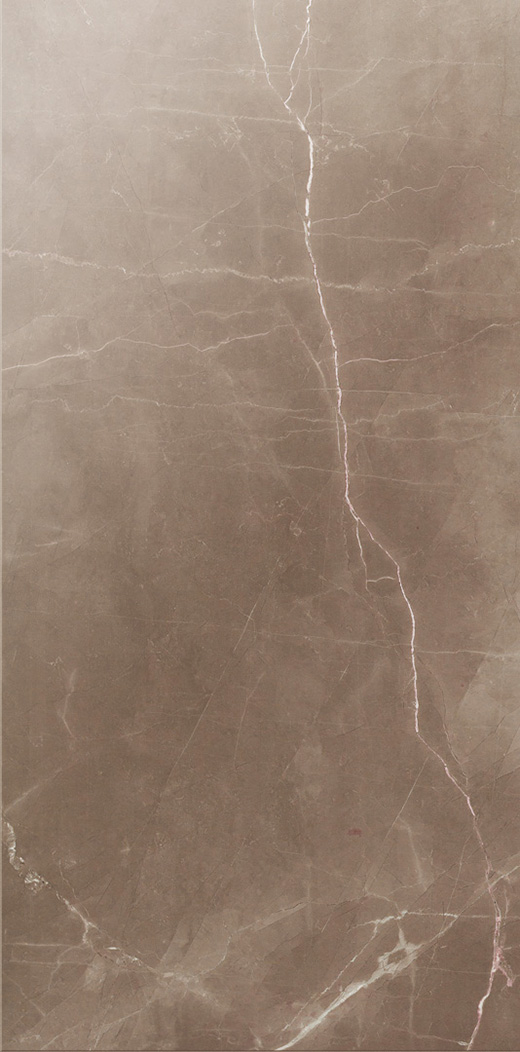 Splendor Amani Bronze Polished 12"x24 | Color Body Porcelain | Floor/Wall Tile