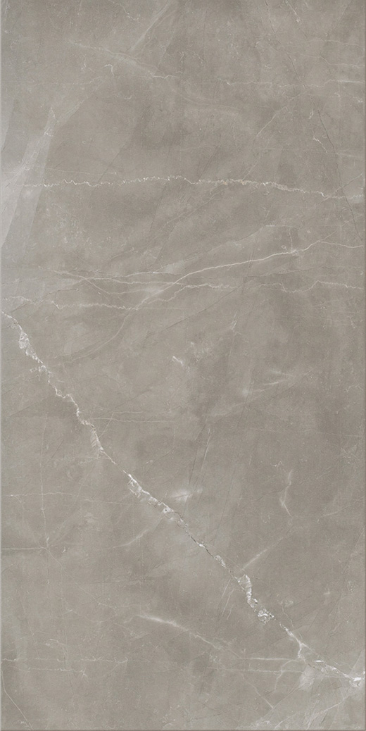 Splendor Amani Grey Natural 12"x24 | Color Body Porcelain | Floor/Wall Tile