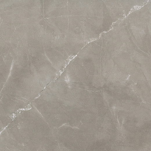 Splendor Amani Grey Natural 24"x24 | Color Body Porcelain | Floor/Wall Tile