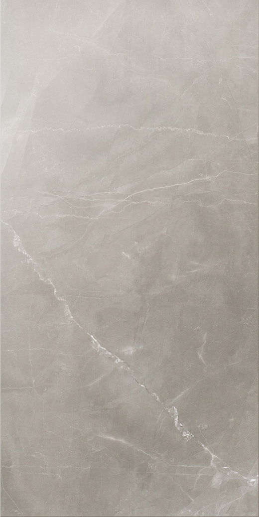 Splendor Amani Grey Polished 12"x24 | Color Body Porcelain | Floor/Wall Tile