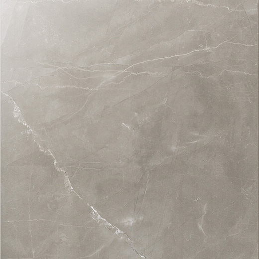 Splendor Amani Grey Polished 24"x24 | Color Body Porcelain | Floor/Wall Tile