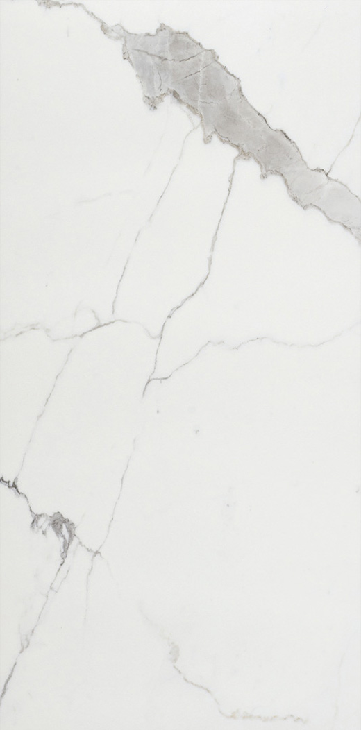Splendor Calacatta Natural 12"x24 | Color Body Porcelain | Floor/Wall Tile