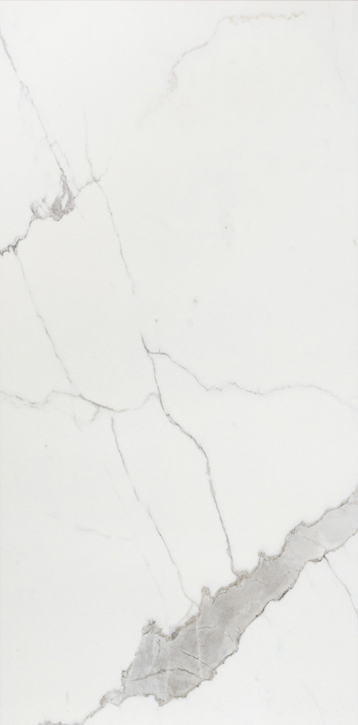 Splendor Calacatta Polished 12"x24 | Color Body Porcelain | Floor/Wall Tile
