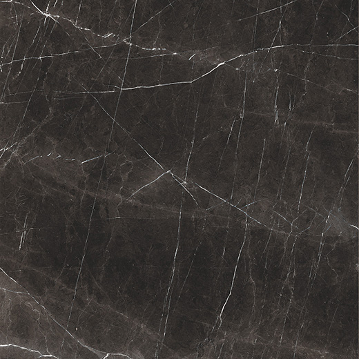 Splendor Nero Marquina Natural 24"x24 | Color Body Porcelain | Floor/Wall Tile