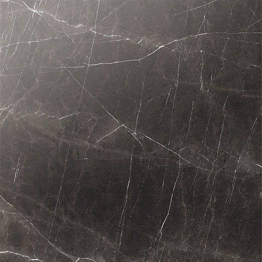 Splendor Nero Marquina Polished 24"x24 | Color Body Porcelain | Floor/Wall Tile