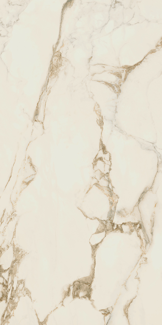 Stature Calacatta Gold Polished 24"x48" | Color Body Porcelain | Floor/Wall Tile