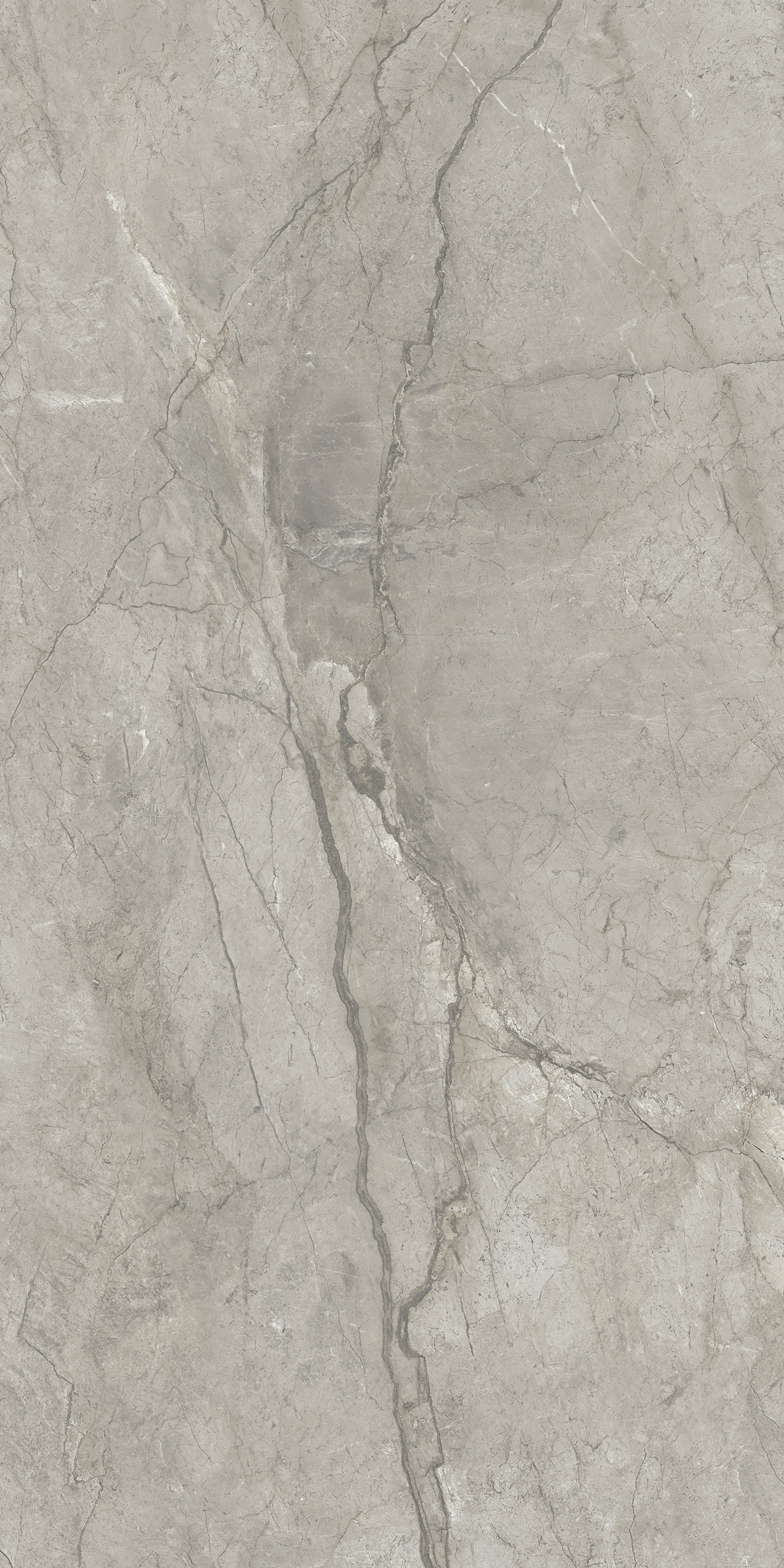 Stature Imperiale Grey Soft 24"x48 | Color Body Porcelain | Floor/Wall Tile