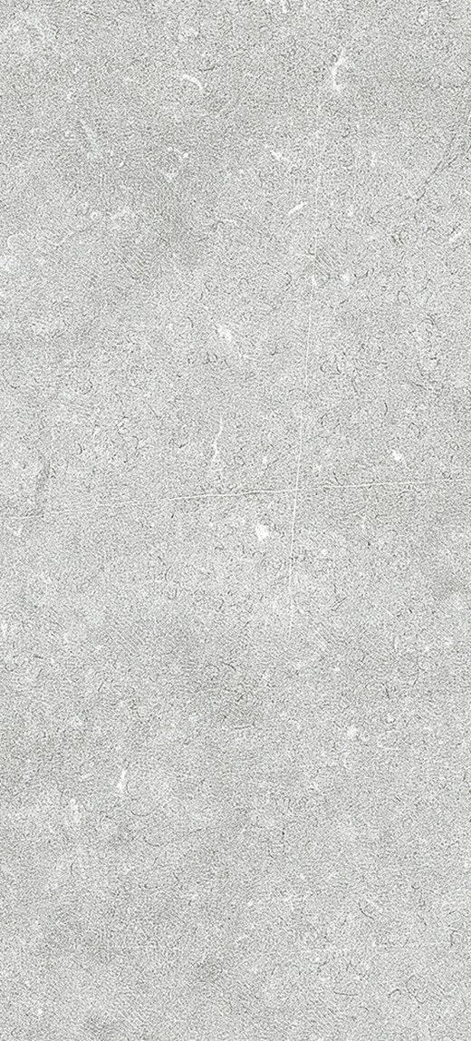 Tanami Grey Matte 48"X106 | Color Body Porcelain | Slab