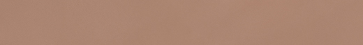 Terranova Terracotta Matte 3"x24 | Glazed Porcelain | Floor/Wall