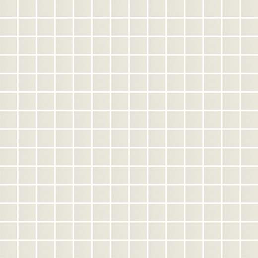 Tonalita Through Body Porcelain White Matte 1"x1" Mosaic | Through Body Porcelain | Floor/Wall Mosaic