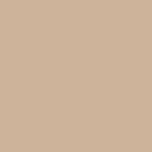 Tonalita Wall Greige Glossy 6"x6" Wall | Ceramic | Wall