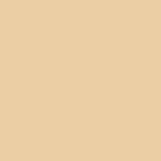 Tonalita Kalahari Beige Matte 8"x8 | Porcelain | Floor/Wall