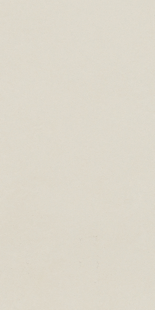Tone Snow Polished 12"x24 | Through Body Porcelain | Floor/Wall Tile