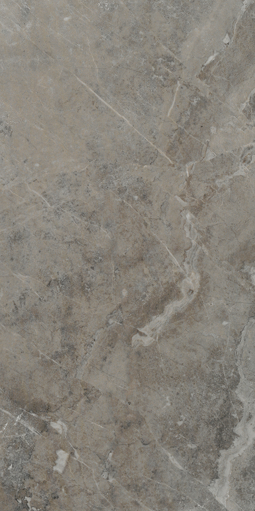 Willis Chateau Matte 12"x24 | Color Body Porcelain | Floor/Wall Tile