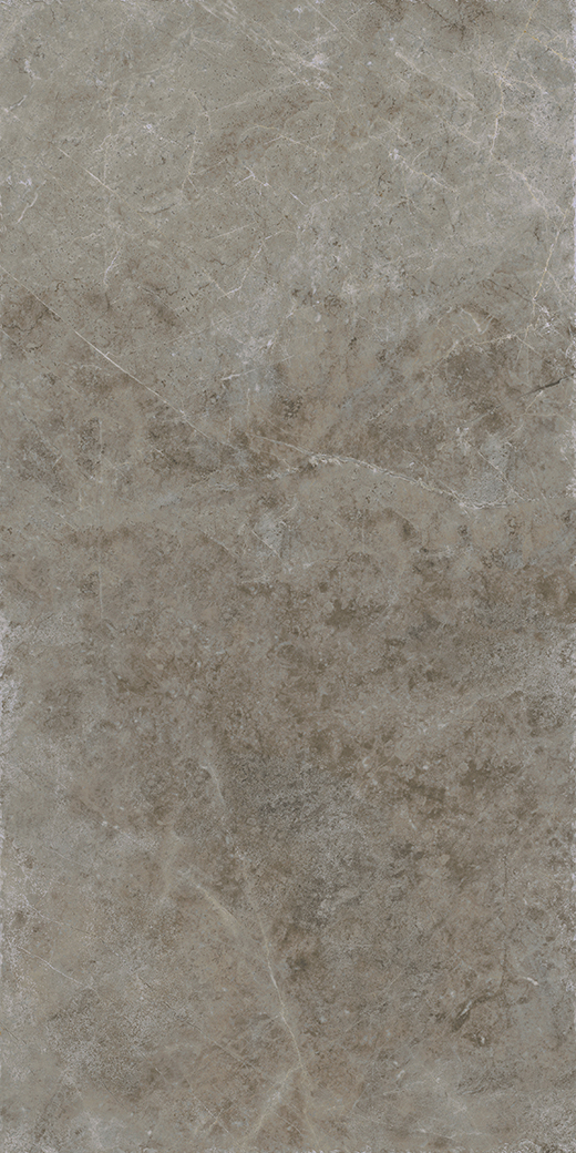 Willis Chateau Matte 24"x48 | Color Body Porcelain | Floor/Wall Tile