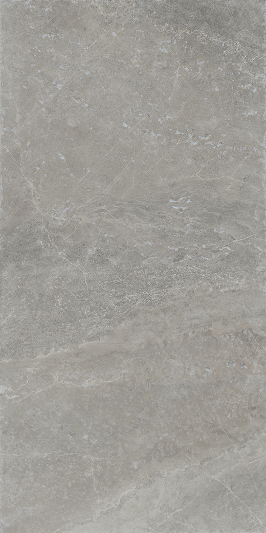 Willis Loft Matte 24"x48 | Color Body Porcelain | Floor/Wall Tile