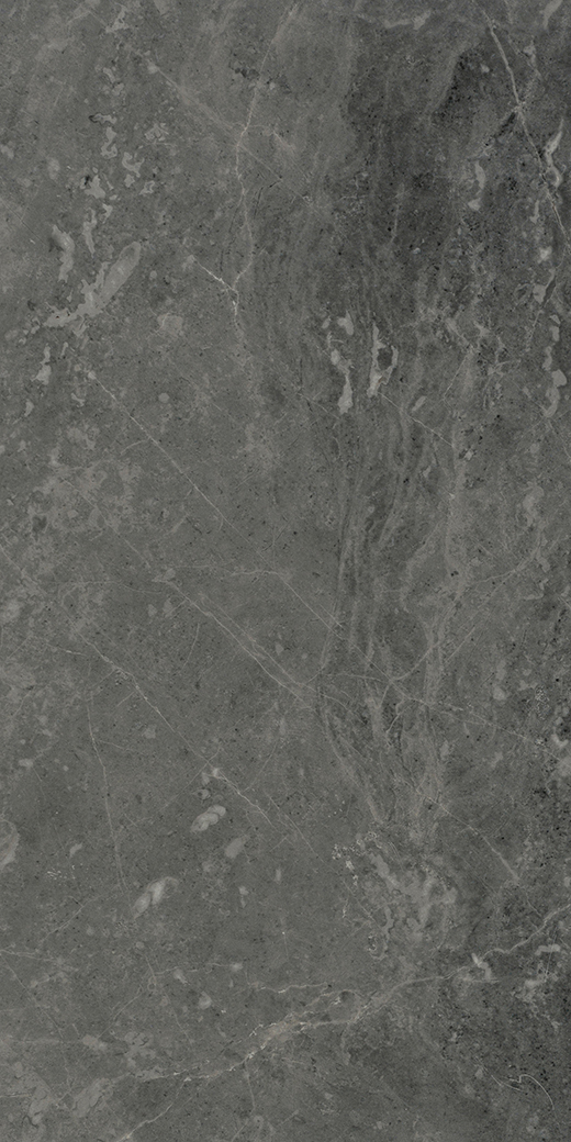 Willis Salon Matte 12"x24 | Color Body Porcelain | Floor/Wall Tile