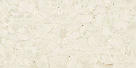 Wisp Avorio/Deco Polished 12"X24" | Color Body Porcelain | Floor/Wall Tile