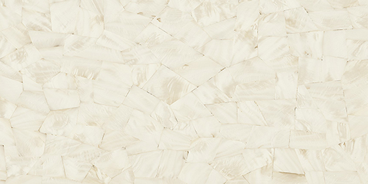 Wisp Avorio/Deco Polished 24"X48" | Color Body Porcelain | Floor/Wall Tile