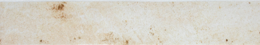 Zanzibar Ivory Polished 2"x18" | Glazed Porcelain | Floor/Wall Tile