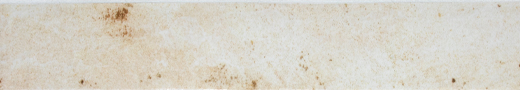 Zanzibar Ivory Polished 2"x18" | Glazed Porcelain | Floor/Wall Tile